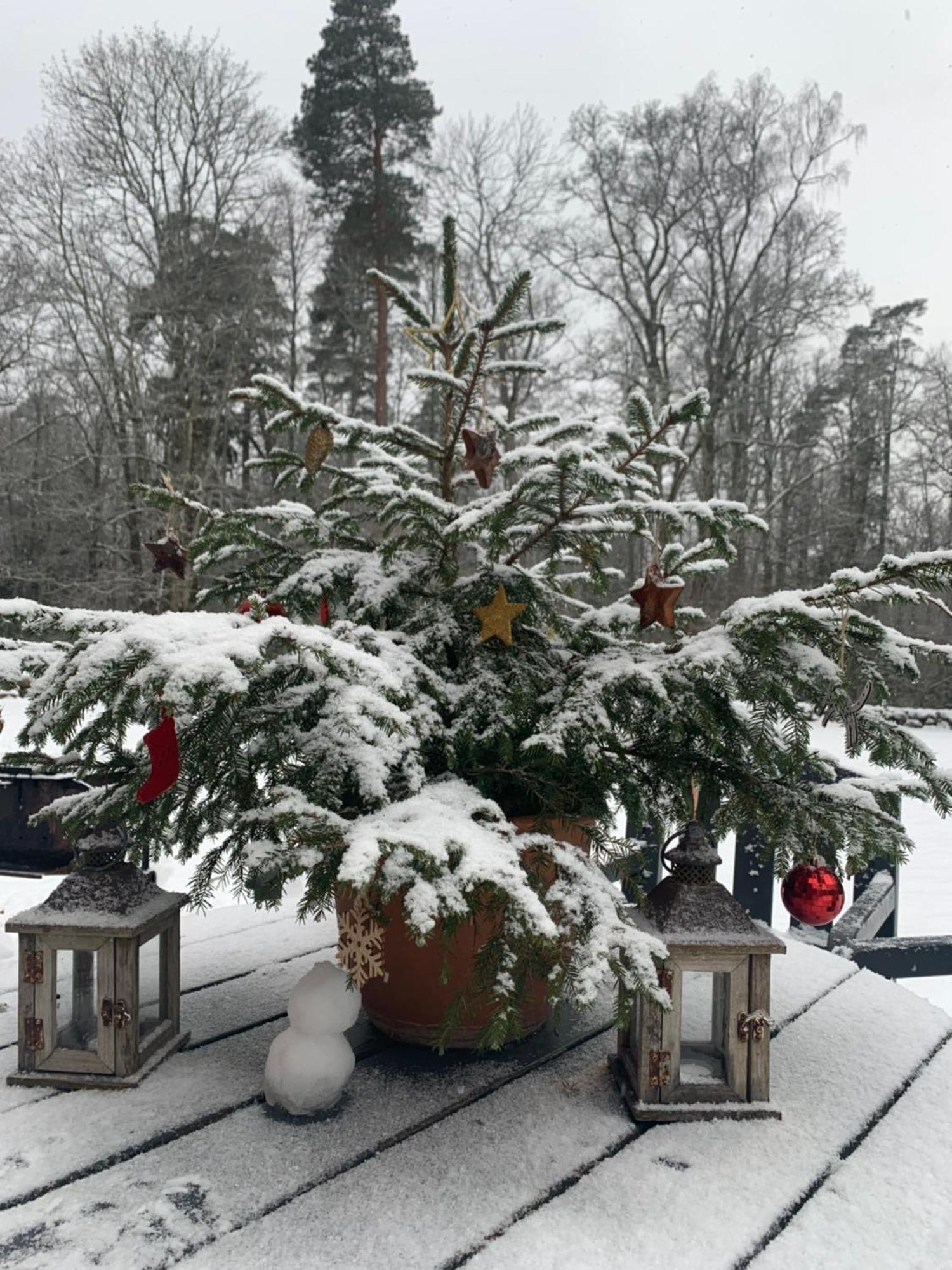 Mednieku Namins Villa Sigulda Dış mekan fotoğraf